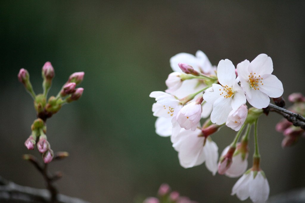 �\���C���V�m