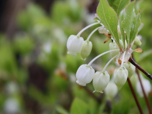 �����U�P