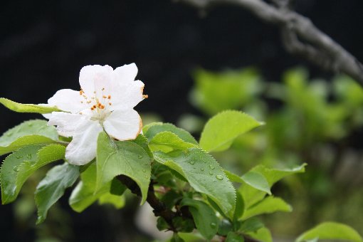 �P�����S