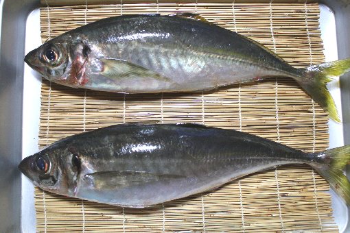 �R�O�b�������̃}�A�W