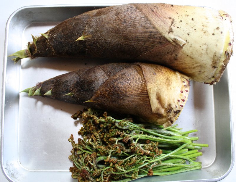 �Џ@�|�ƃ����r