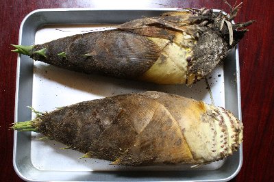 ����̖Џ@�|