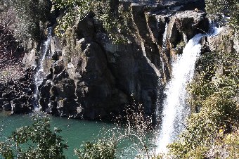 ���̑�i����j