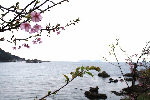 �͒Í��Ɩ��C��