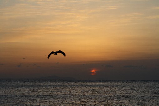 �Q���R���閾��