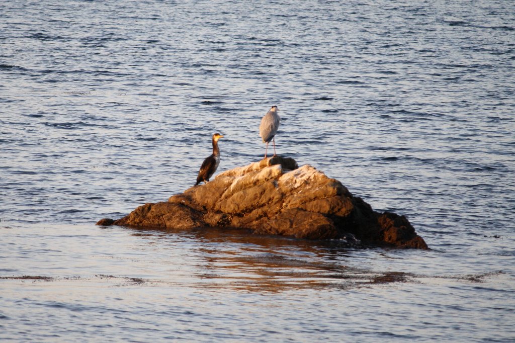 �������E�E�E