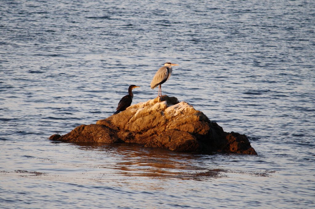 �c�[�V���b�g