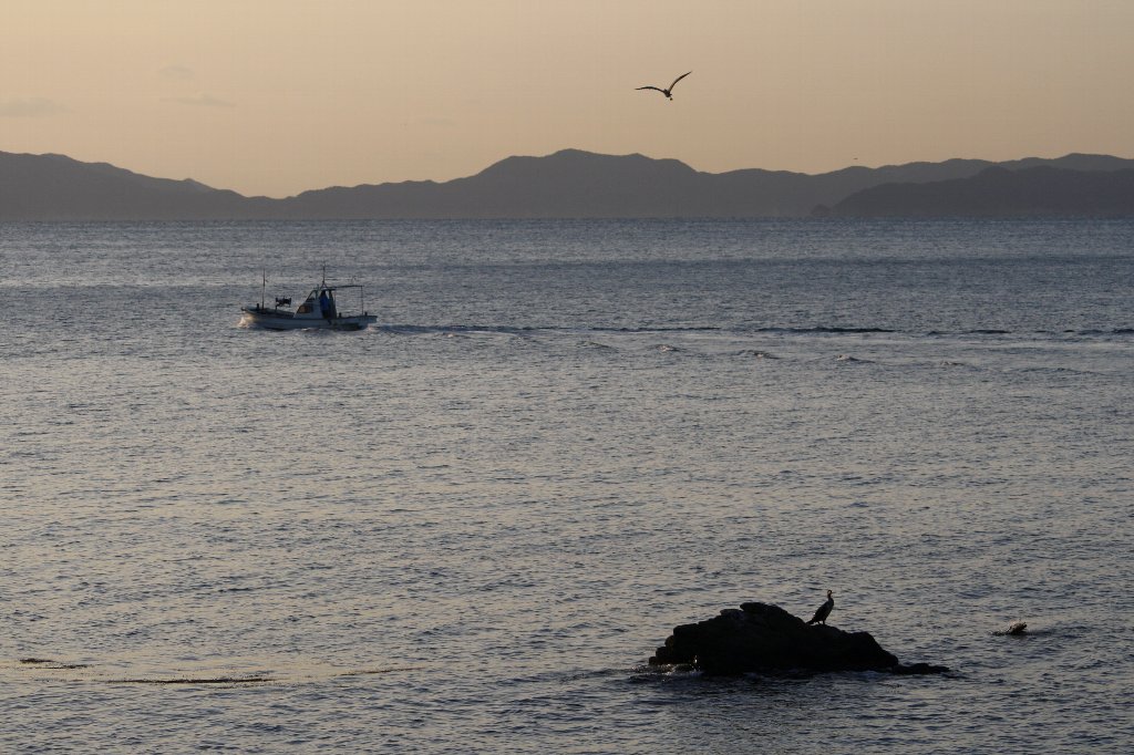 �P���̎n�܂�