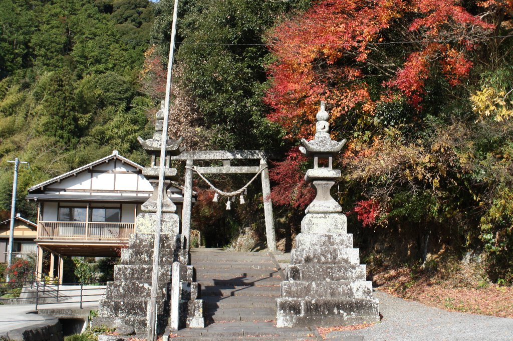 ���n�k����