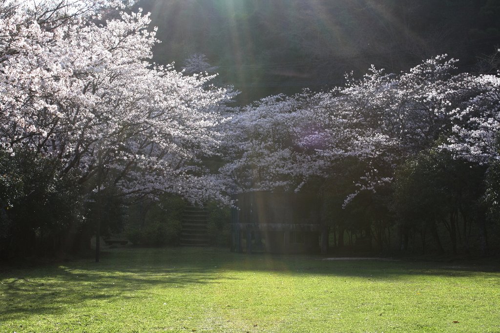 �]�_�������̍�