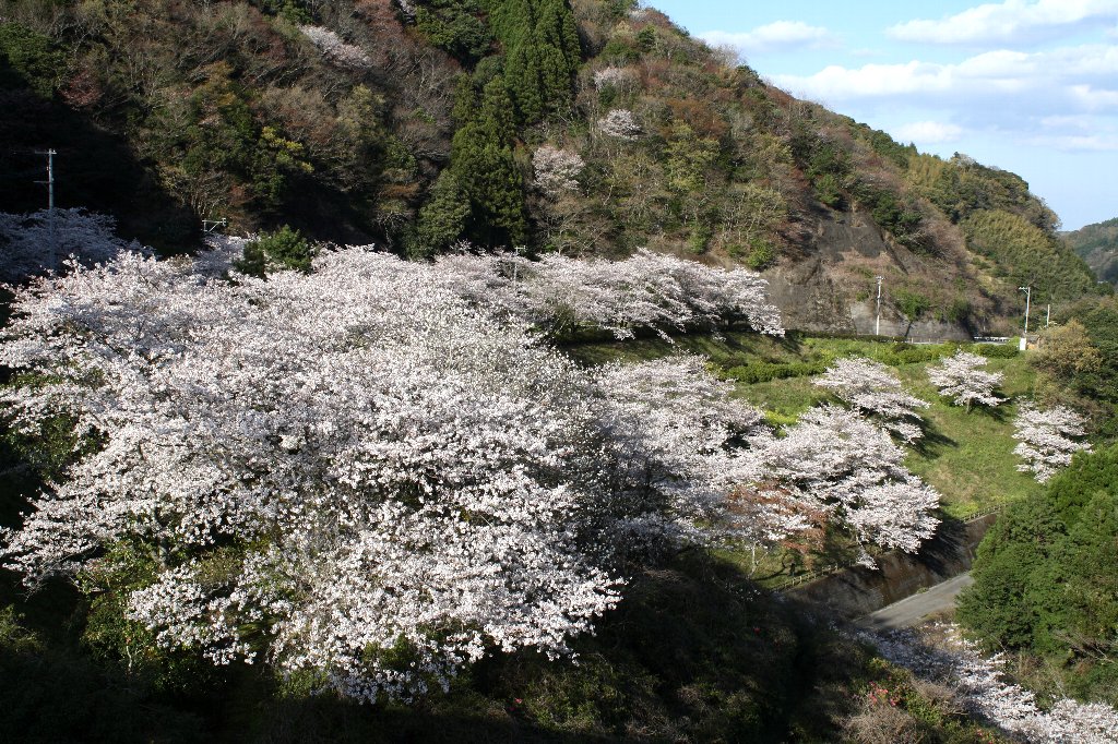 �]�_���̍�