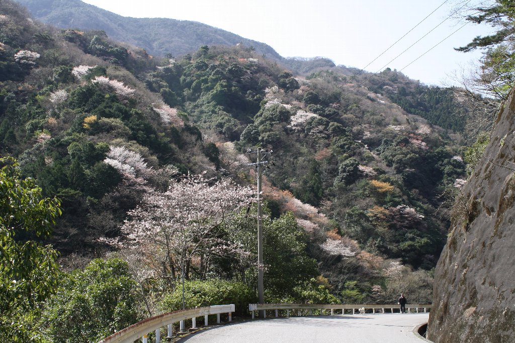 ���J�̎R��