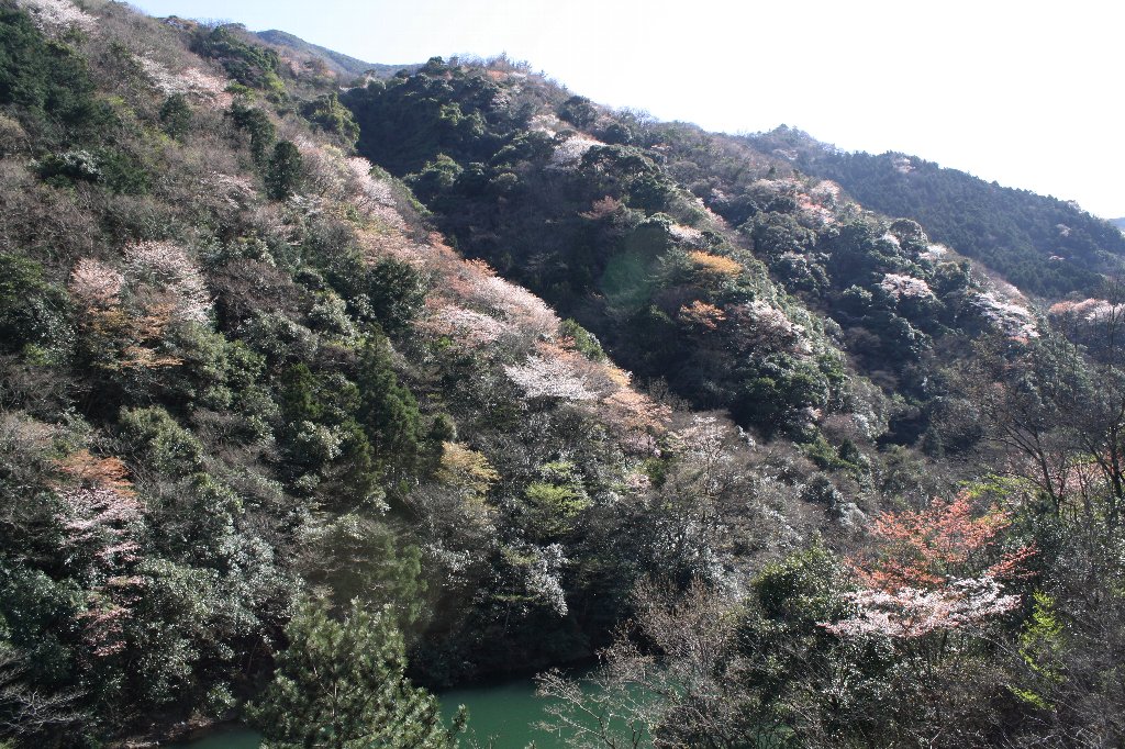 ���J�̎R��