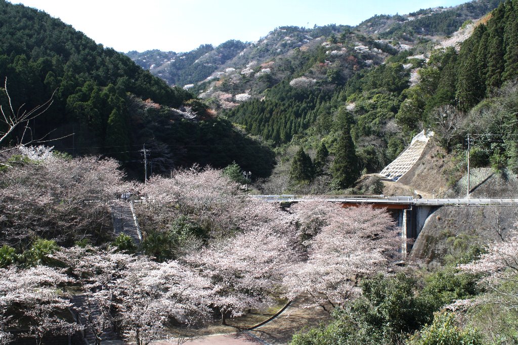 ����g��Ɖ��R�̎R��