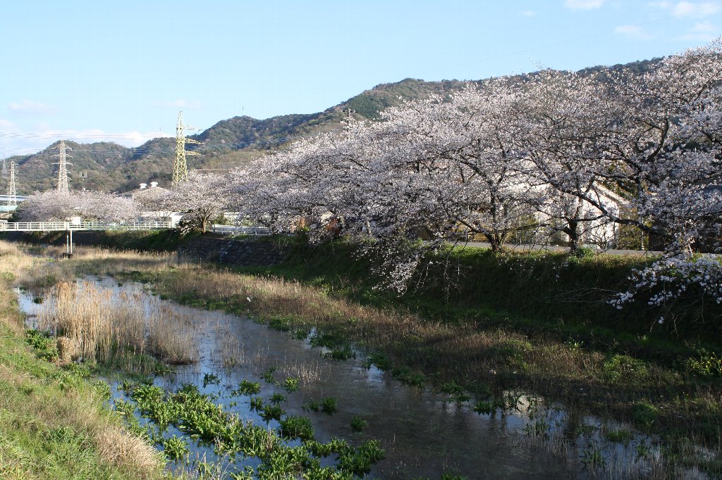 �ǂ�ǂ��̍�