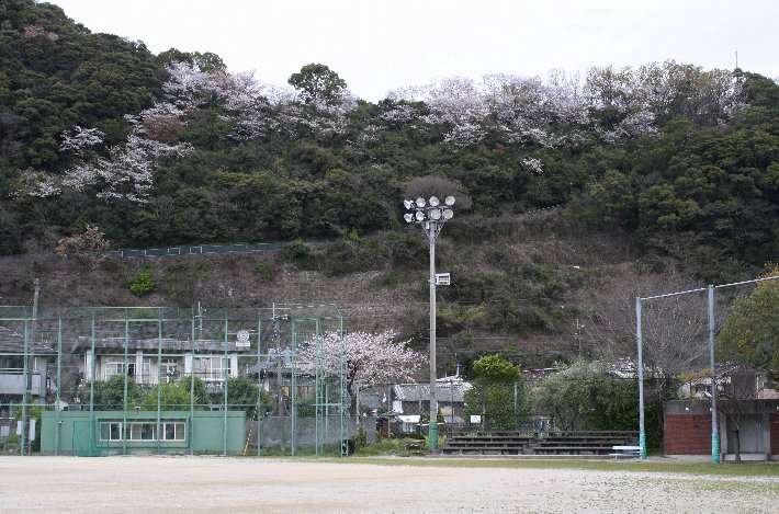 �{�R�����̍�