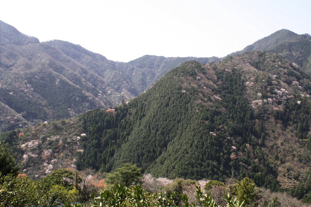 ���R�̎R��