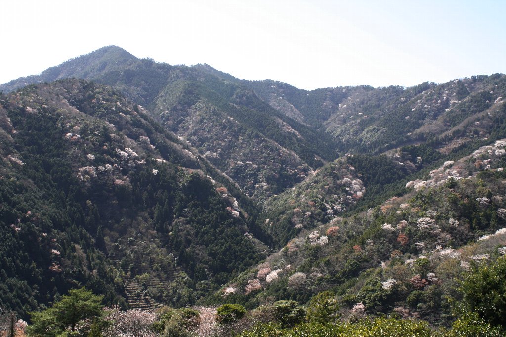 ���R�̎R��