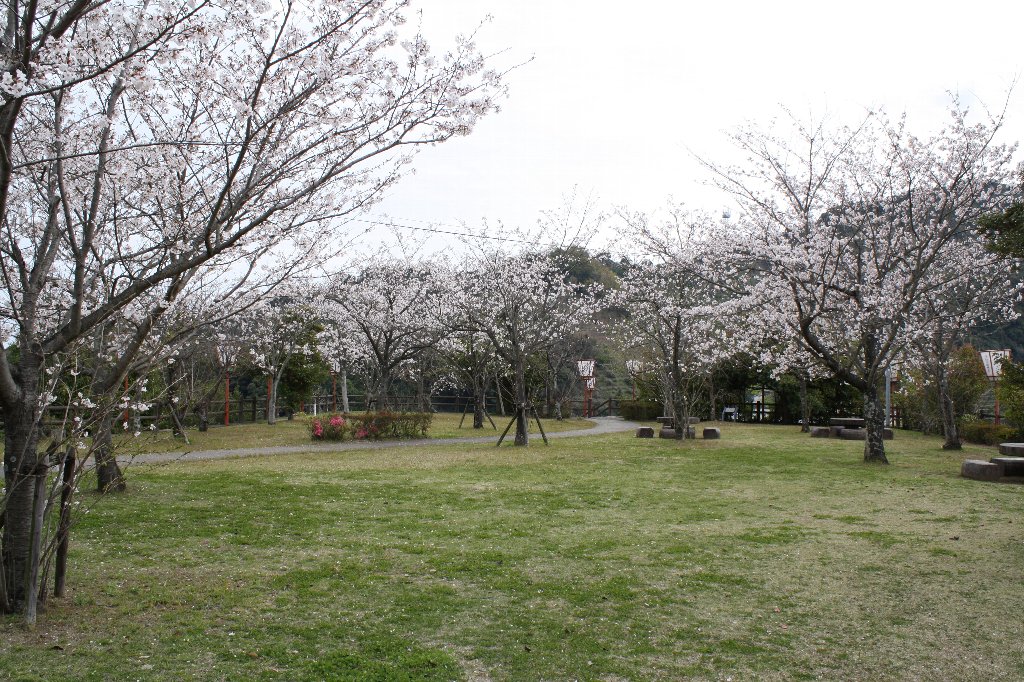 ��F�����̍�