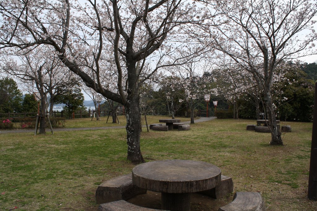 ��F�����̍�