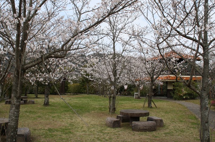 ��F�����̍�