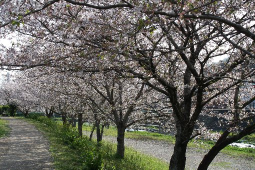 �������̍�