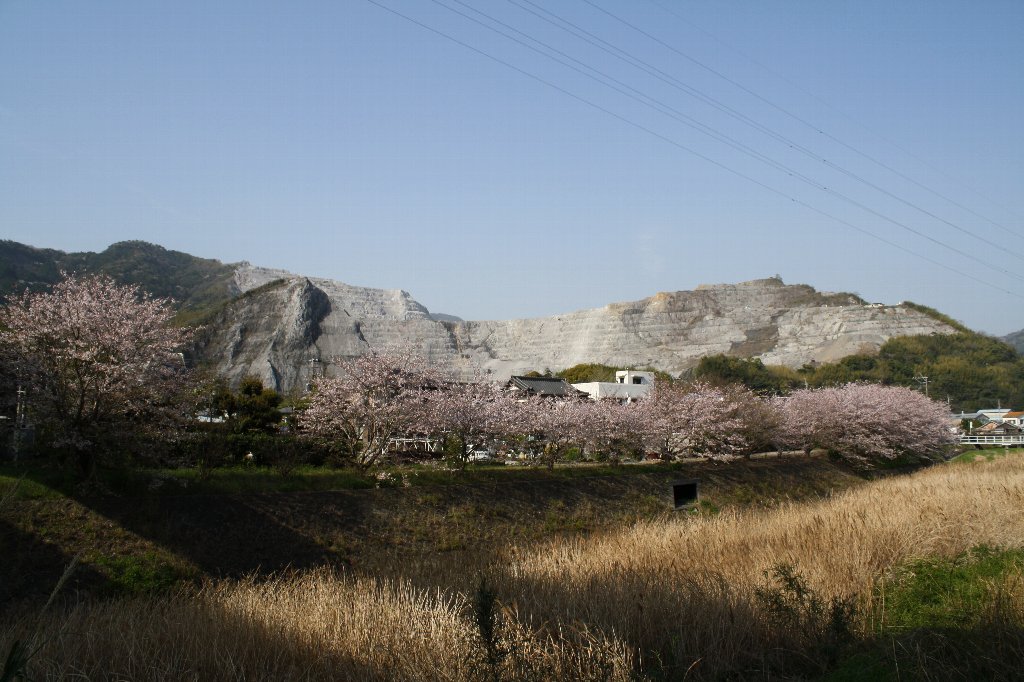 �Ӗ����R�ƍ�