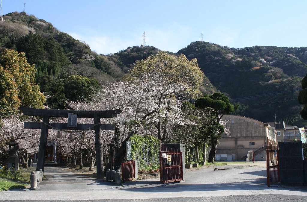 ���]�_�ЂƑ�񒆊w�Z