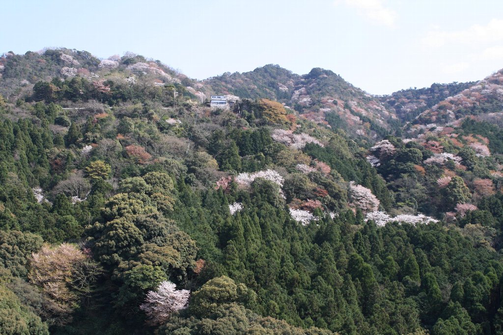 �\�����̍�