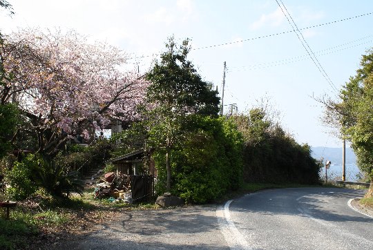 �\�����̍�