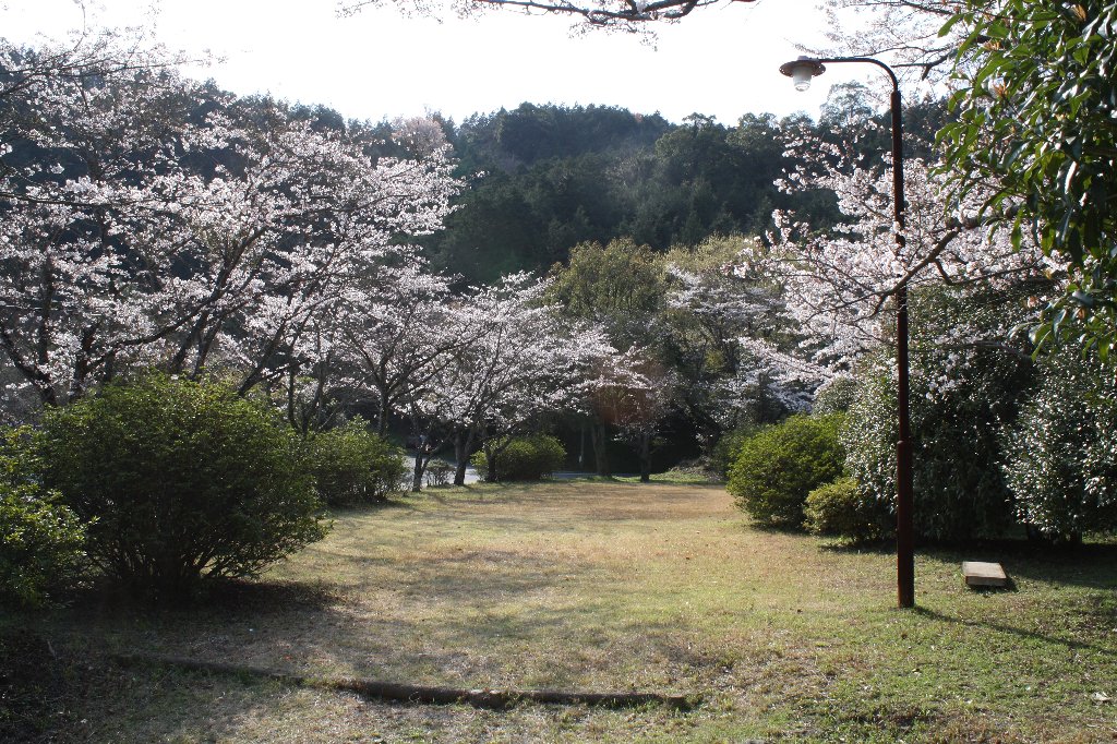 �P�Ó��̍�