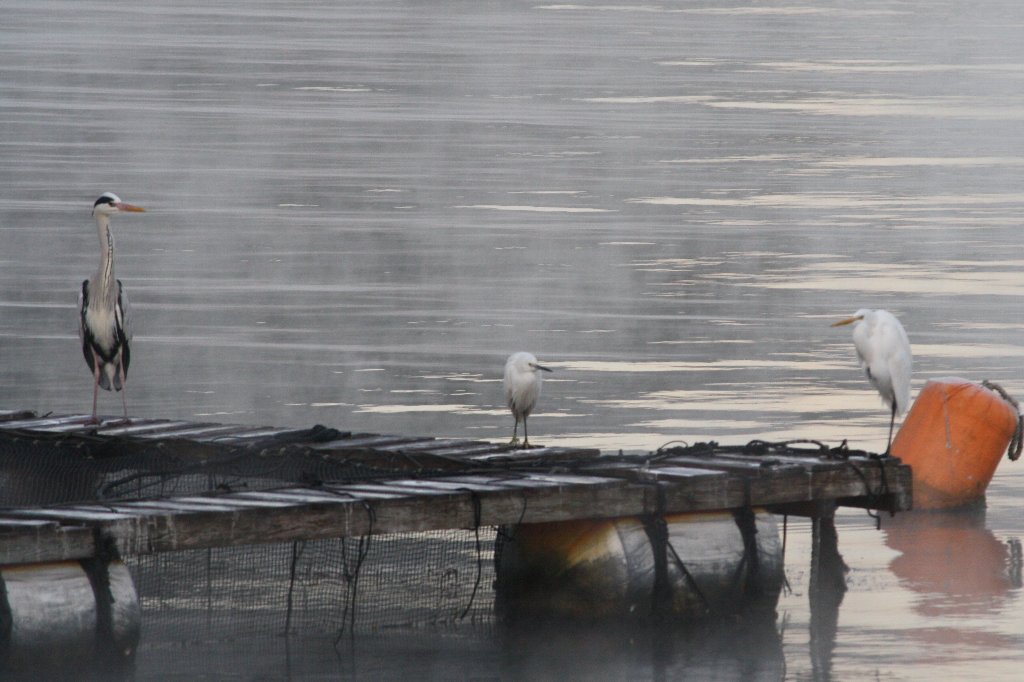 �ǂ�����@�ǂ�����@�ǂ�����