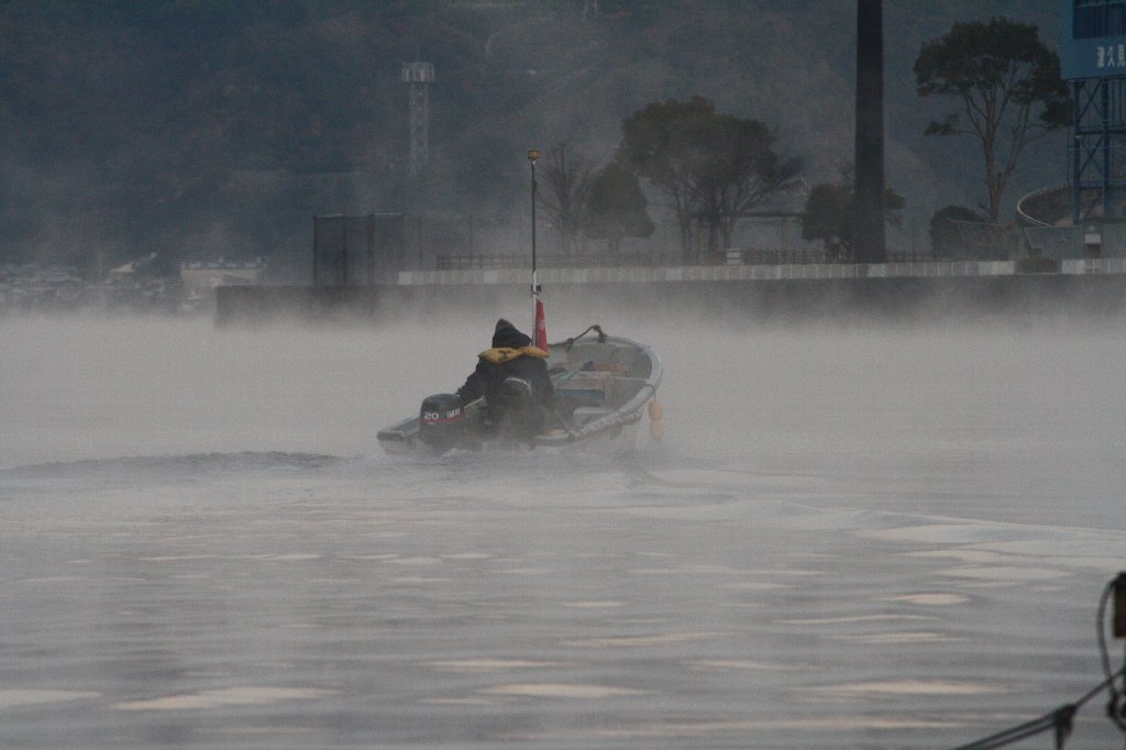 ���D�ƒ���