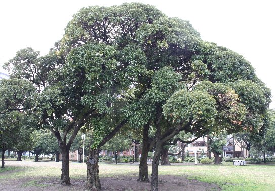 �}�e�o�V�C