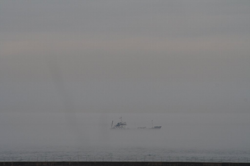 ���̒��̉ݕ��D