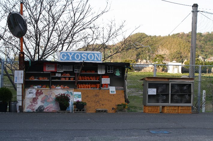 �M���[�\������