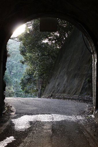 �[�]�g���l���o��