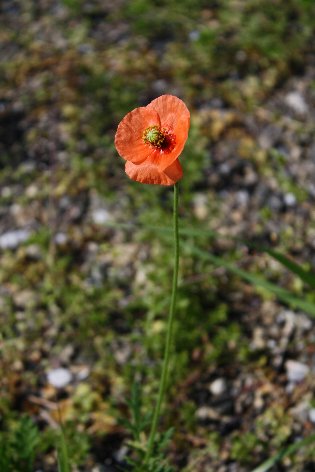 ������㠈�