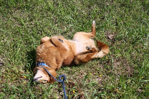 ���g�\��