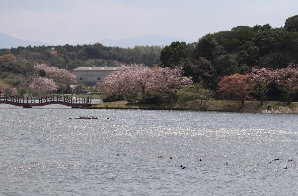 �J���̂��Ԍ�