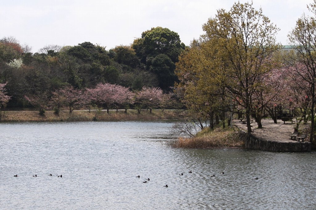 �J���̂��Ԍ�