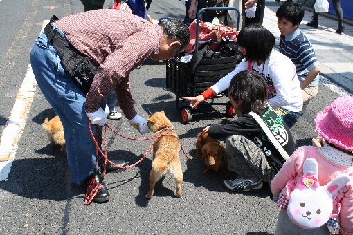 �����`������l�C