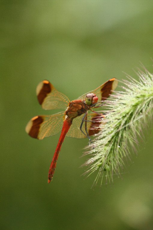 �~���}�A�J�l