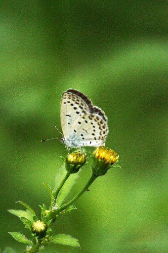 ���}�g�V�W�~