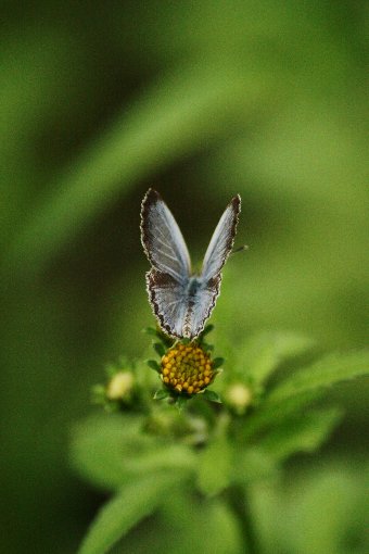 ���}�g�V�W�~