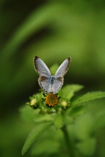 ���}�g�V�W�~