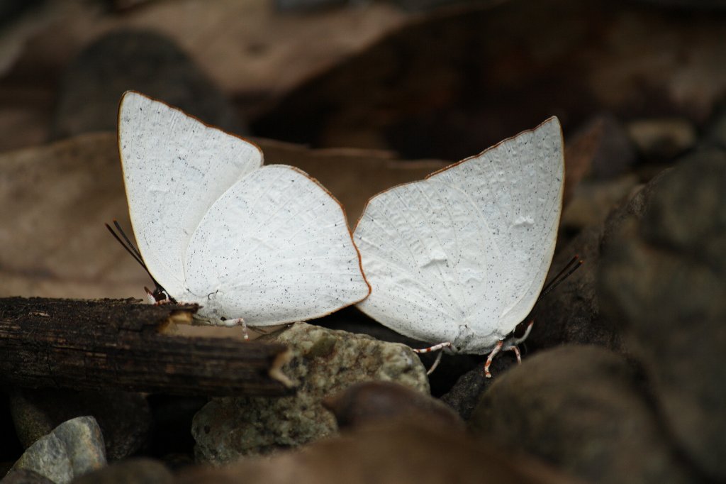 ����V�W�~