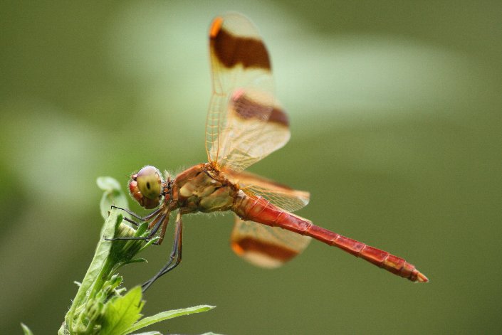 �~���}�A�J�l�Ə���h��