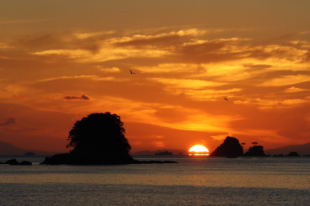 ��h�̖閾��