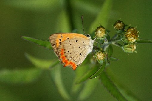 �x�j�V�W�~